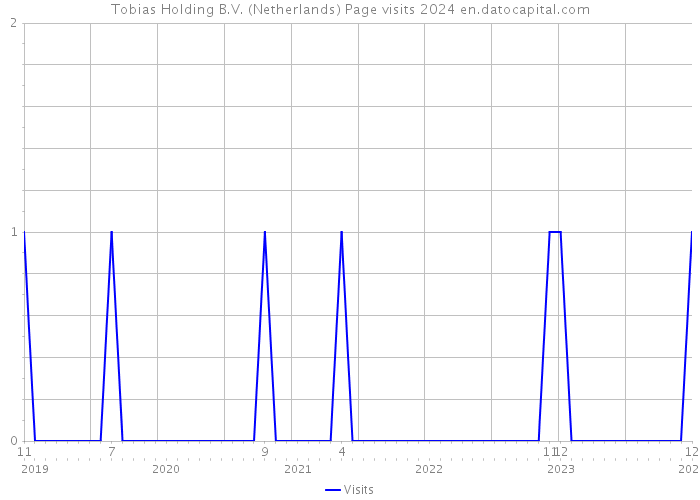 Tobias Holding B.V. (Netherlands) Page visits 2024 