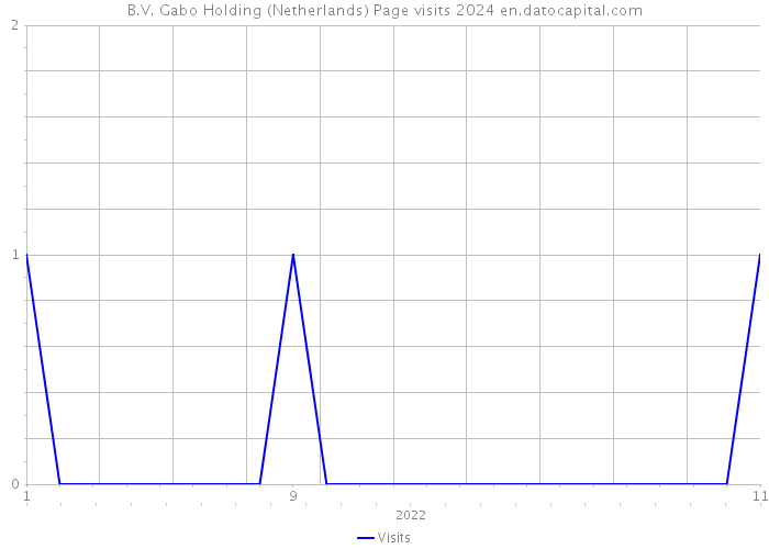 B.V. Gabo Holding (Netherlands) Page visits 2024 