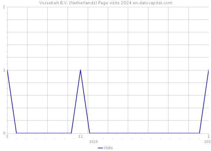 Vossebelt B.V. (Netherlands) Page visits 2024 