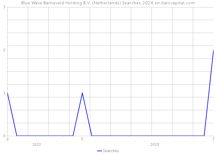 Blue Wave Barneveld Holding B.V. (Netherlands) Searches 2024 