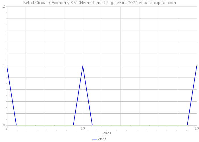 Rebel Circular Economy B.V. (Netherlands) Page visits 2024 