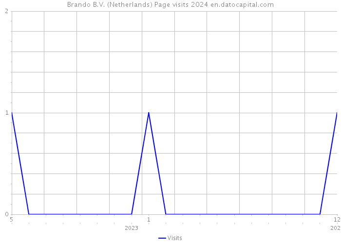 Brando B.V. (Netherlands) Page visits 2024 