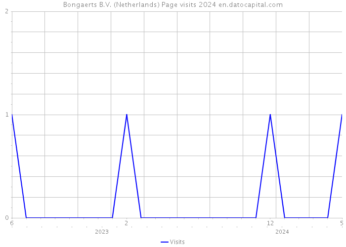 Bongaerts B.V. (Netherlands) Page visits 2024 