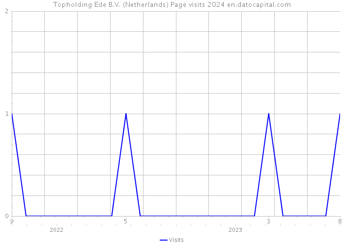 Topholding Ede B.V. (Netherlands) Page visits 2024 