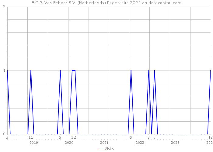 E.C.P. Vos Beheer B.V. (Netherlands) Page visits 2024 