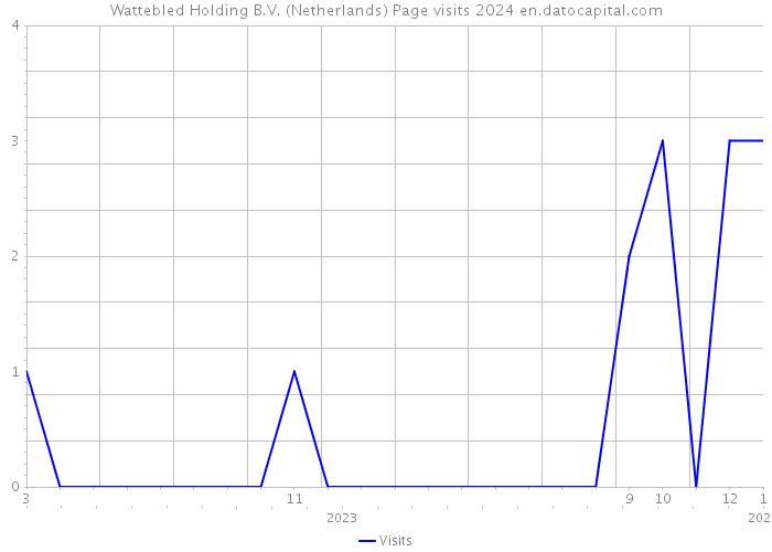 Wattebled Holding B.V. (Netherlands) Page visits 2024 