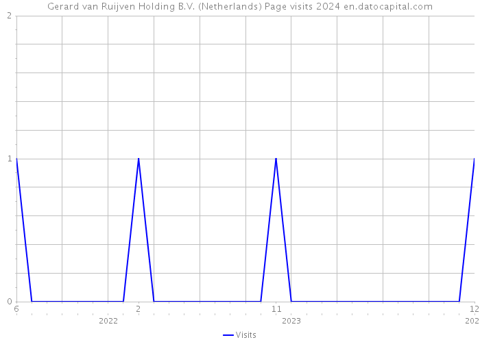 Gerard van Ruijven Holding B.V. (Netherlands) Page visits 2024 