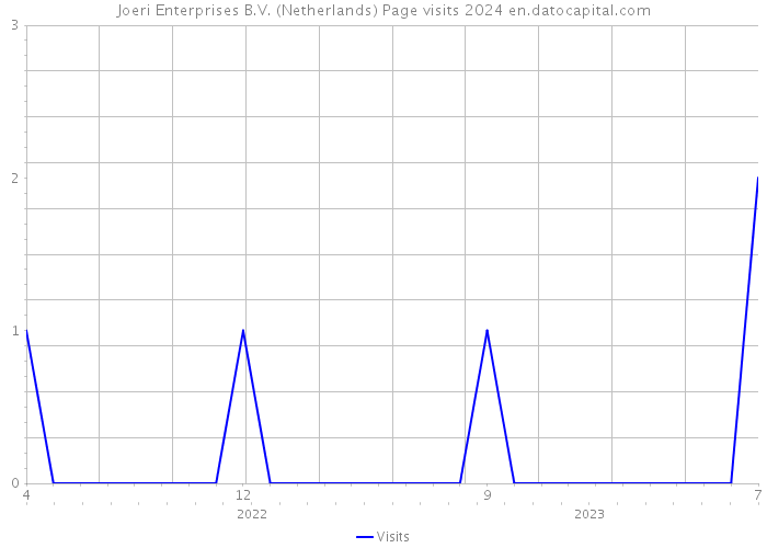 Joeri Enterprises B.V. (Netherlands) Page visits 2024 