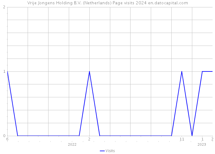 Vrije Jongens Holding B.V. (Netherlands) Page visits 2024 