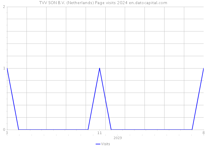 TVV SON B.V. (Netherlands) Page visits 2024 