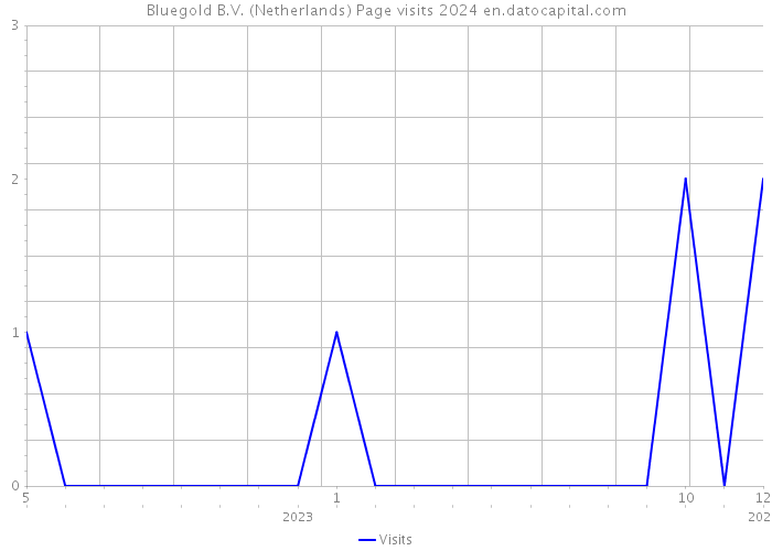 Bluegold B.V. (Netherlands) Page visits 2024 