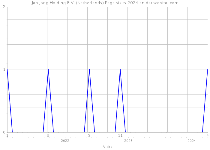 Jan Jong Holding B.V. (Netherlands) Page visits 2024 