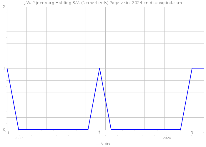 J.W. Pijnenburg Holding B.V. (Netherlands) Page visits 2024 