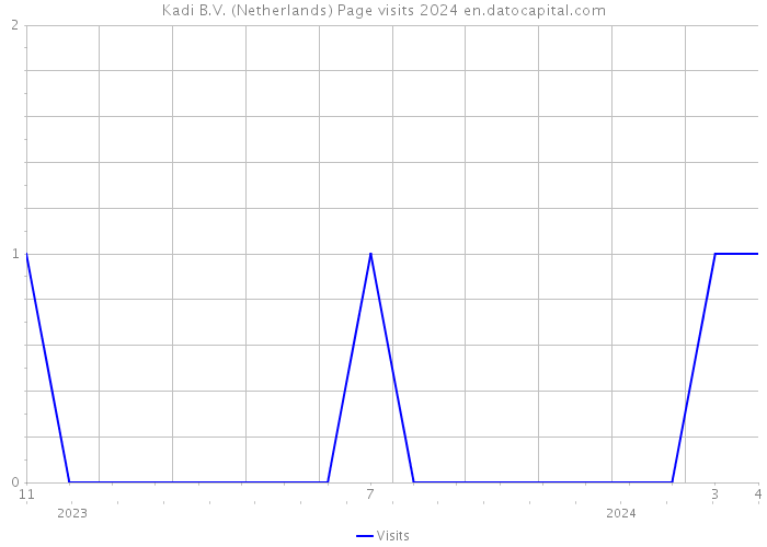 Kadi B.V. (Netherlands) Page visits 2024 
