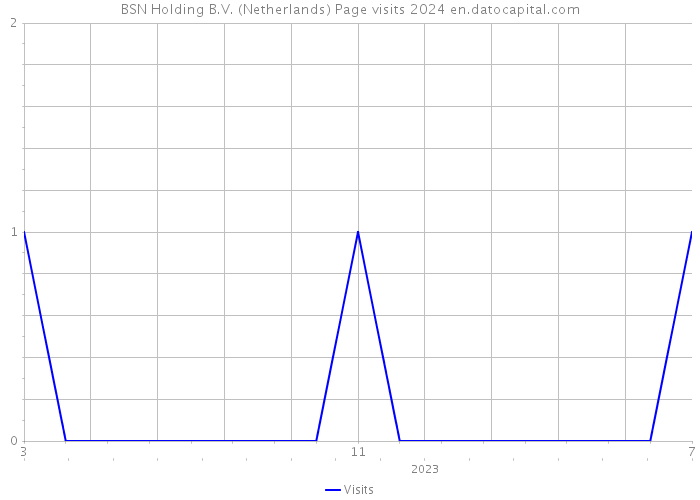 BSN Holding B.V. (Netherlands) Page visits 2024 