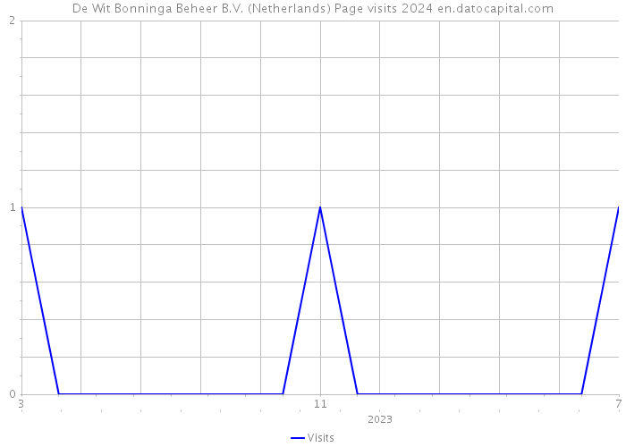 De Wit Bonninga Beheer B.V. (Netherlands) Page visits 2024 