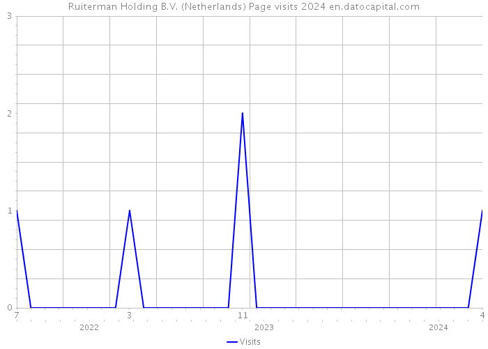 Ruiterman Holding B.V. (Netherlands) Page visits 2024 