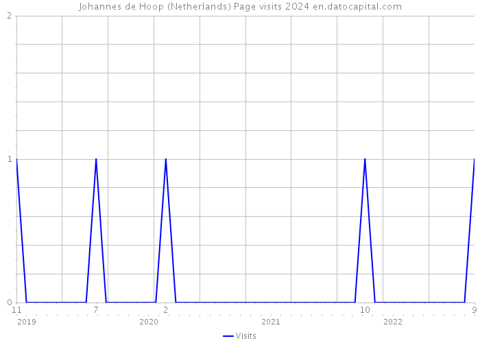 Johannes de Hoop (Netherlands) Page visits 2024 