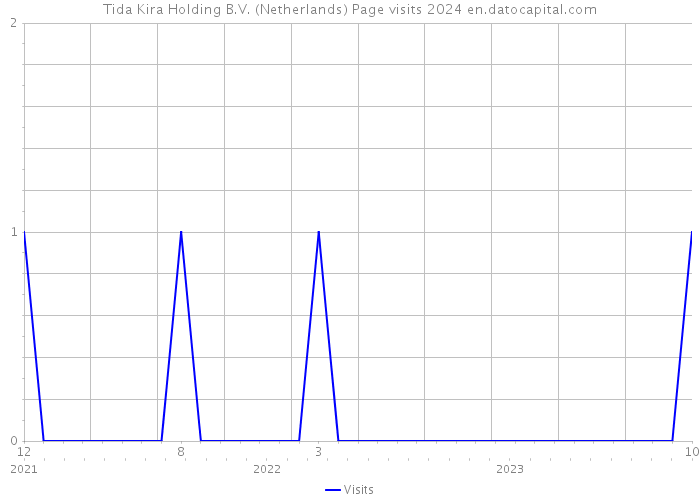 Tida Kira Holding B.V. (Netherlands) Page visits 2024 