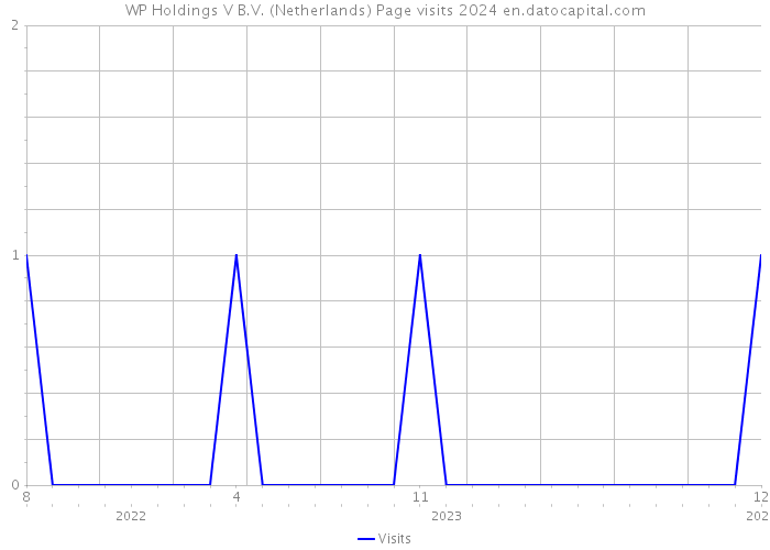 WP Holdings V B.V. (Netherlands) Page visits 2024 