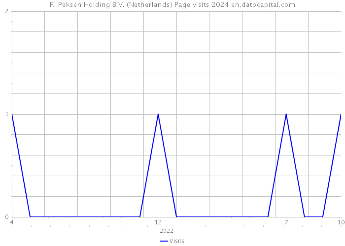 R. Peksen Holding B.V. (Netherlands) Page visits 2024 