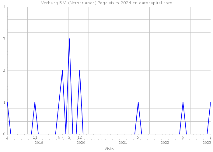 Verburg B.V. (Netherlands) Page visits 2024 