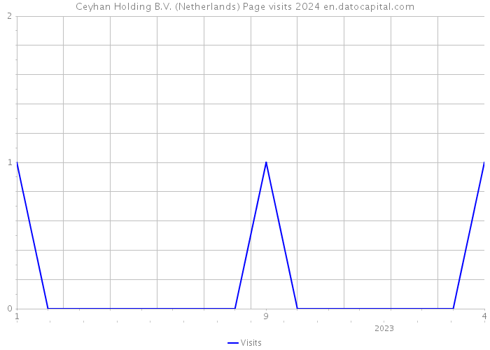 Ceyhan Holding B.V. (Netherlands) Page visits 2024 