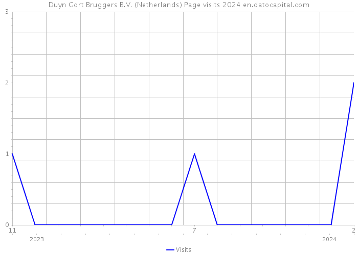 Duyn Gort Bruggers B.V. (Netherlands) Page visits 2024 