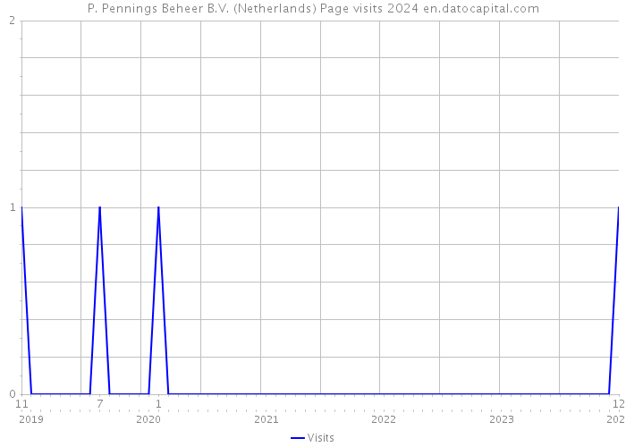 P. Pennings Beheer B.V. (Netherlands) Page visits 2024 