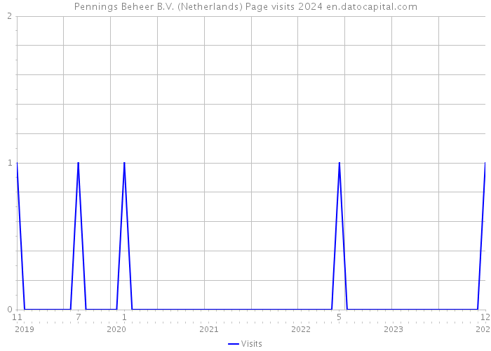 Pennings Beheer B.V. (Netherlands) Page visits 2024 