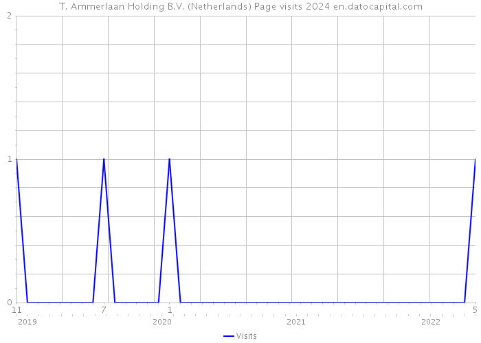 T. Ammerlaan Holding B.V. (Netherlands) Page visits 2024 