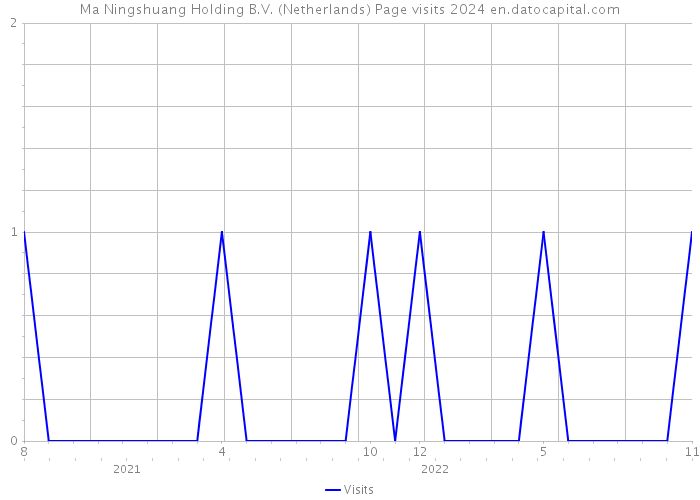 Ma Ningshuang Holding B.V. (Netherlands) Page visits 2024 
