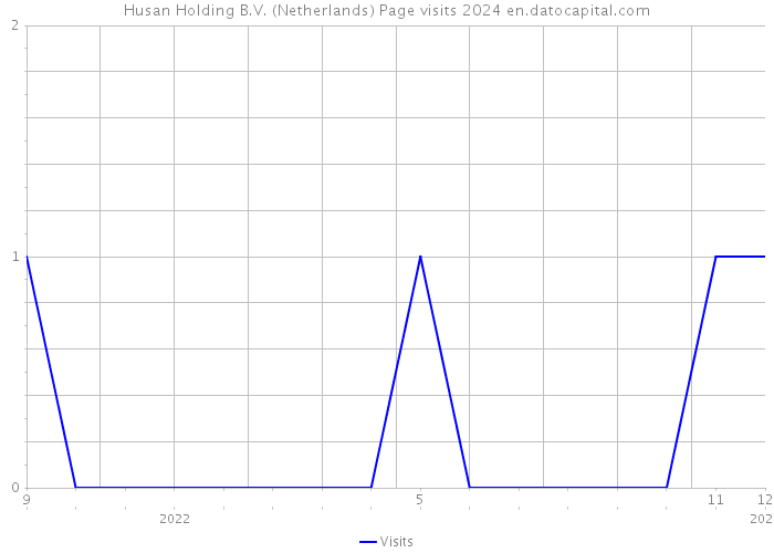 Husan Holding B.V. (Netherlands) Page visits 2024 