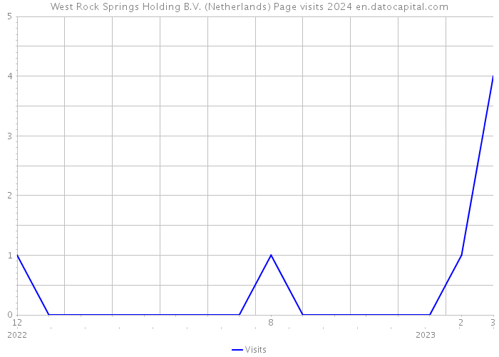 West Rock Springs Holding B.V. (Netherlands) Page visits 2024 