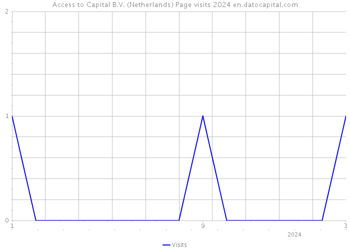 Access to Capital B.V. (Netherlands) Page visits 2024 