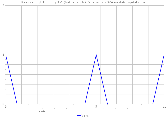Kees van Eijk Holding B.V. (Netherlands) Page visits 2024 