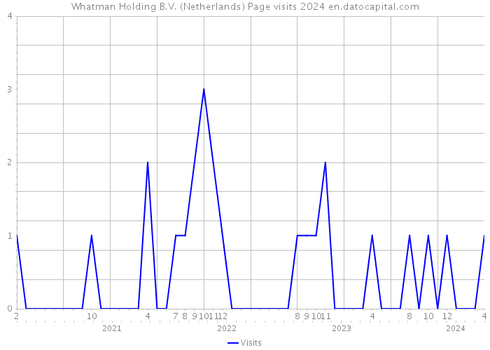 Whatman Holding B.V. (Netherlands) Page visits 2024 