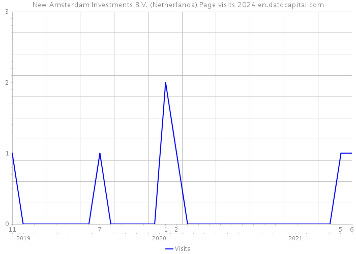 New Amsterdam Investments B.V. (Netherlands) Page visits 2024 