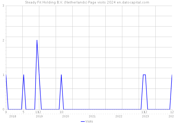 Steady Fit Holding B.V. (Netherlands) Page visits 2024 