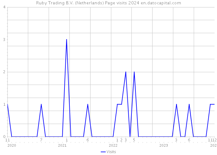 Ruby Trading B.V. (Netherlands) Page visits 2024 