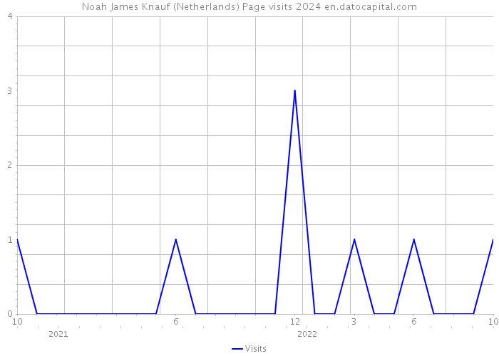Noah James Knauf (Netherlands) Page visits 2024 