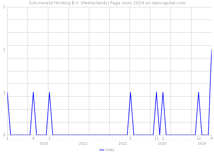 Schoneveld Holding B.V. (Netherlands) Page visits 2024 