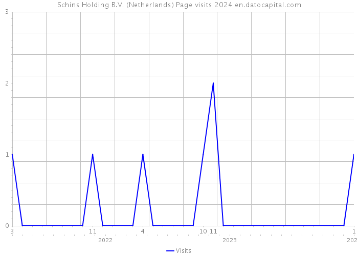 Schins Holding B.V. (Netherlands) Page visits 2024 