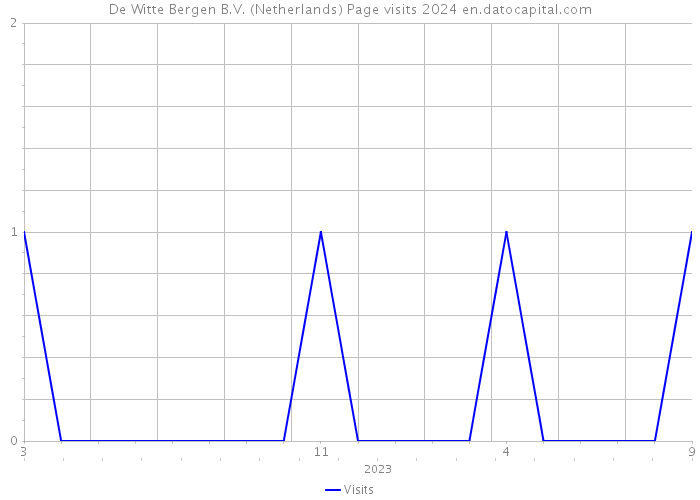 De Witte Bergen B.V. (Netherlands) Page visits 2024 