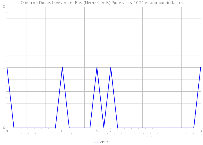 Oliebron Dallas Investment B.V. (Netherlands) Page visits 2024 