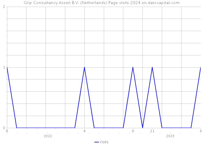 Grip Consultancy Assen B.V. (Netherlands) Page visits 2024 