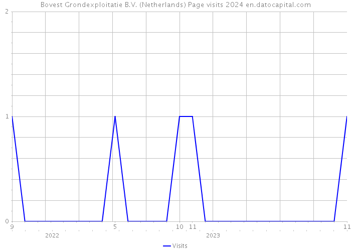 Bovest Grondexploitatie B.V. (Netherlands) Page visits 2024 