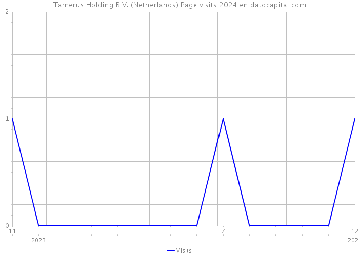 Tamerus Holding B.V. (Netherlands) Page visits 2024 