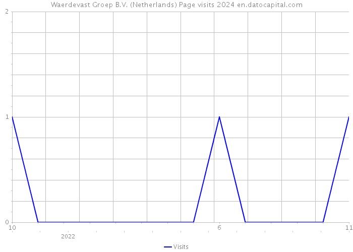 Waerdevast Groep B.V. (Netherlands) Page visits 2024 