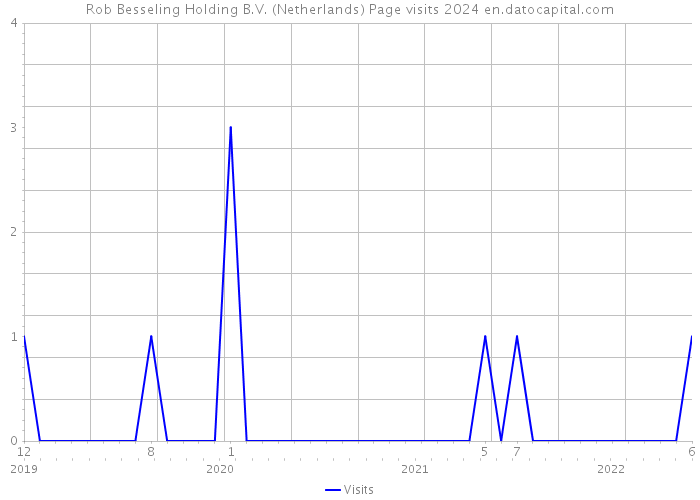 Rob Besseling Holding B.V. (Netherlands) Page visits 2024 